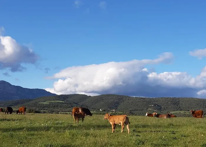 Les Cases De Borrells Nyaraló